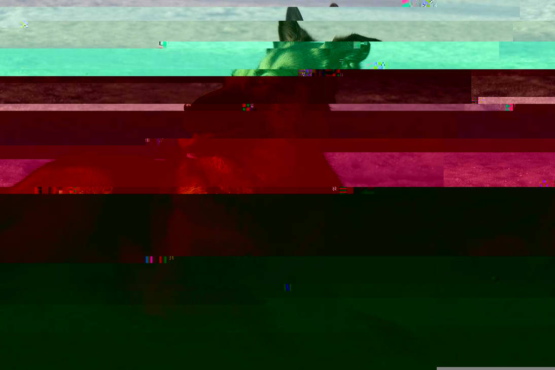 Currupted Image Corrupted Image by CorruptionGenerator on DeviantArt