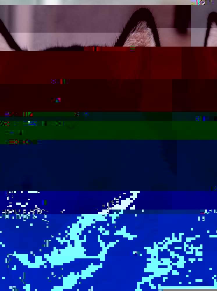 Currupted Image Corrupted Image by CorruptionGenerator on DeviantArt
