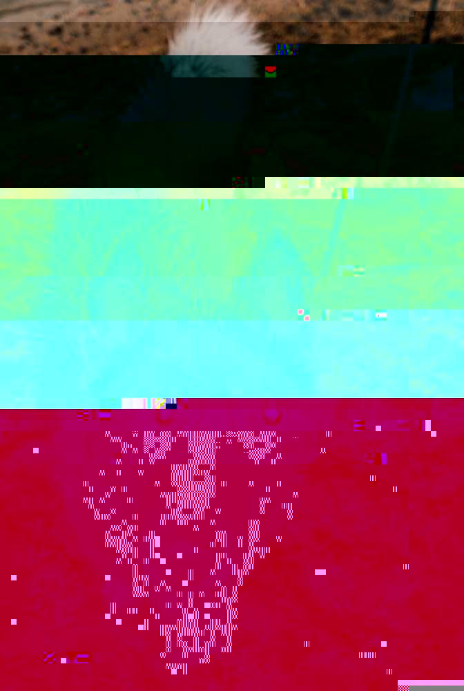 Currupted Image Corrupted Image by CorruptionGenerator on DeviantArt