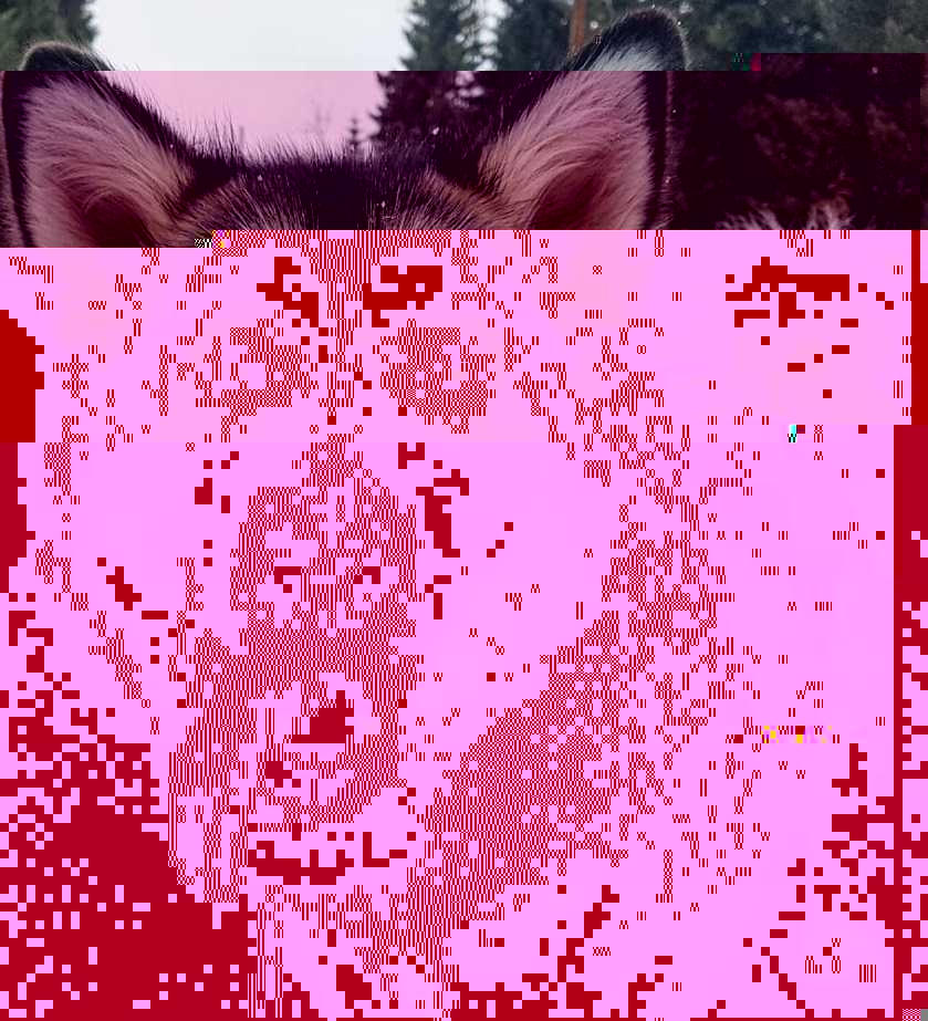 Currupted Image Corrupted Image by CorruptionGenerator on DeviantArt