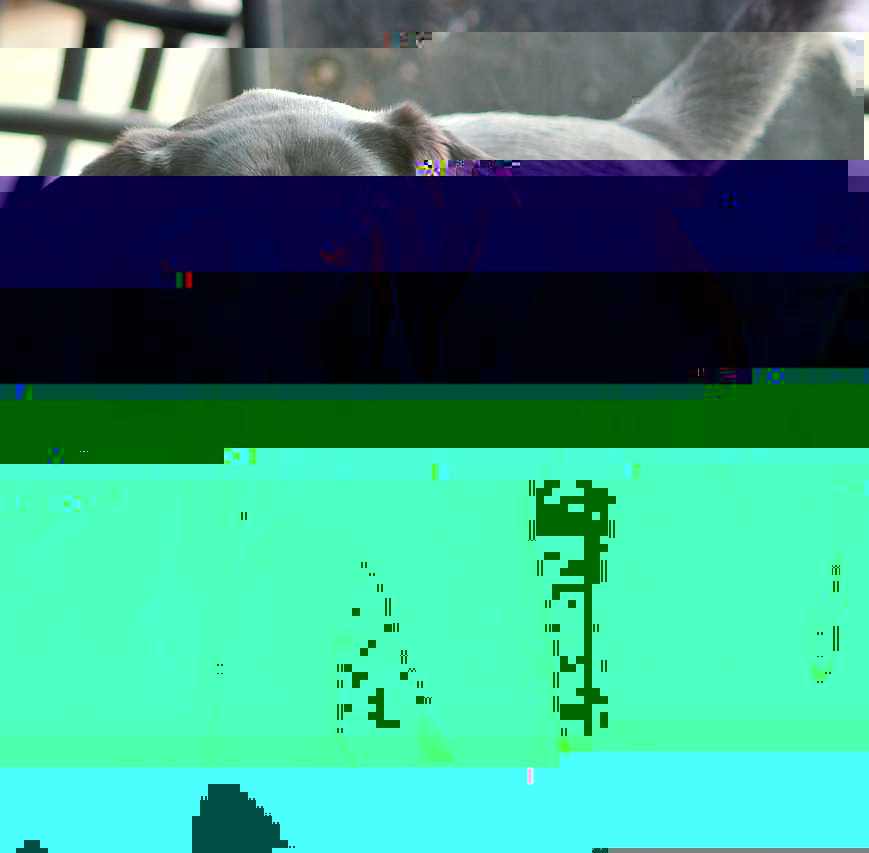Currupted Image Corrupted Image by CorruptionGenerator on DeviantArt