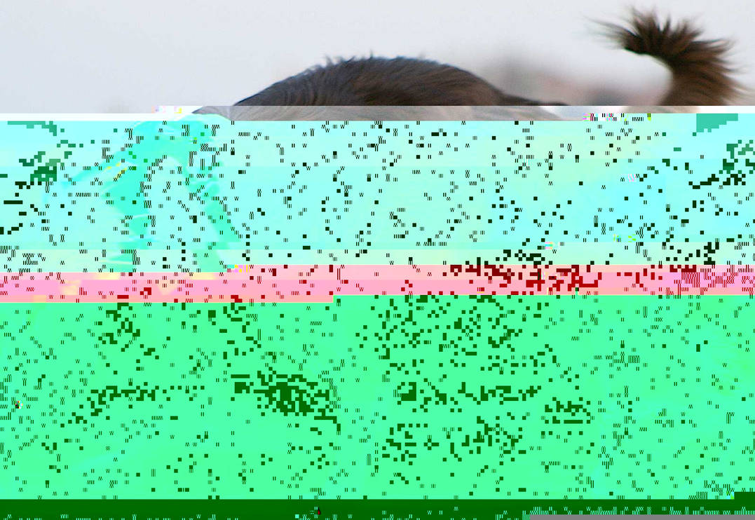Currupted Image Corrupted Image by CorruptionGenerator on DeviantArt