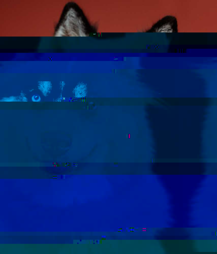 Currupted Image Corrupted Image by CorruptionGenerator on DeviantArt