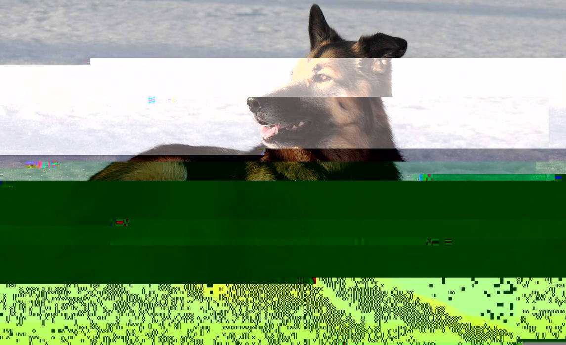 Currupted Image Corrupted Image by CorruptionGenerator on DeviantArt