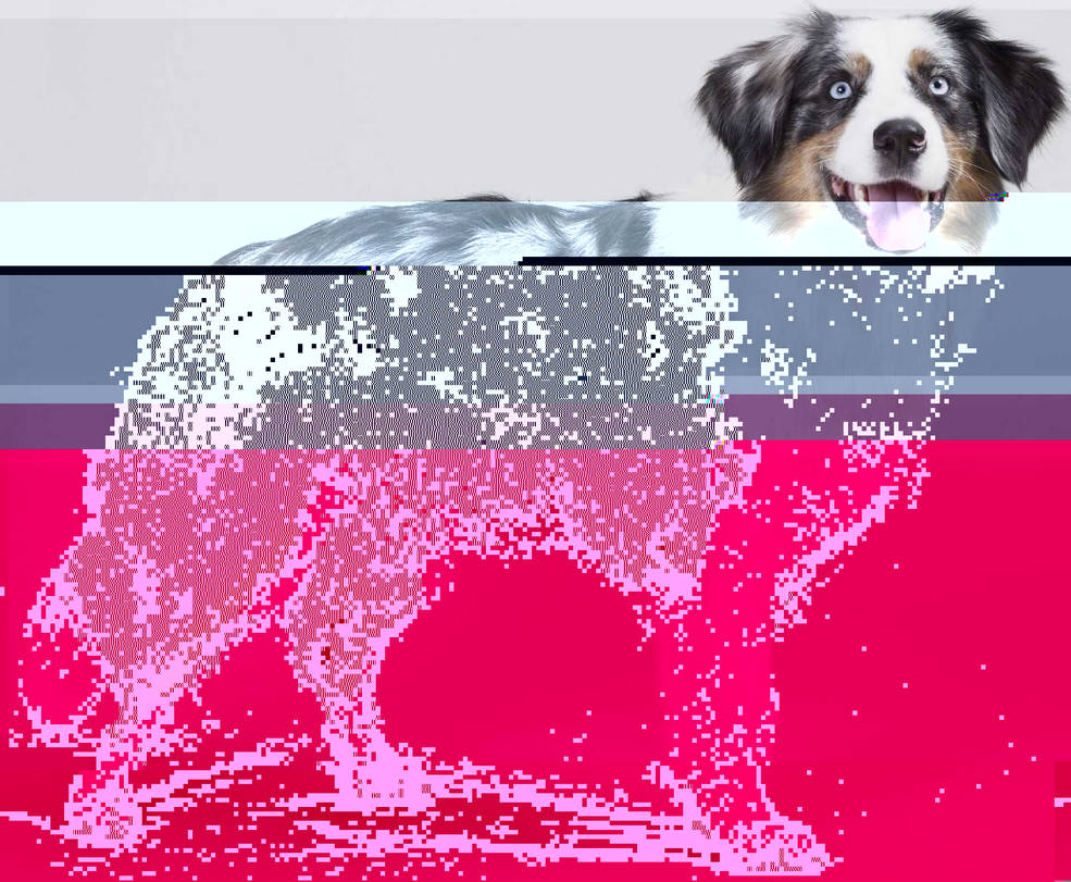 Currupted Image Corrupted Image by CorruptionGenerator on DeviantArt
