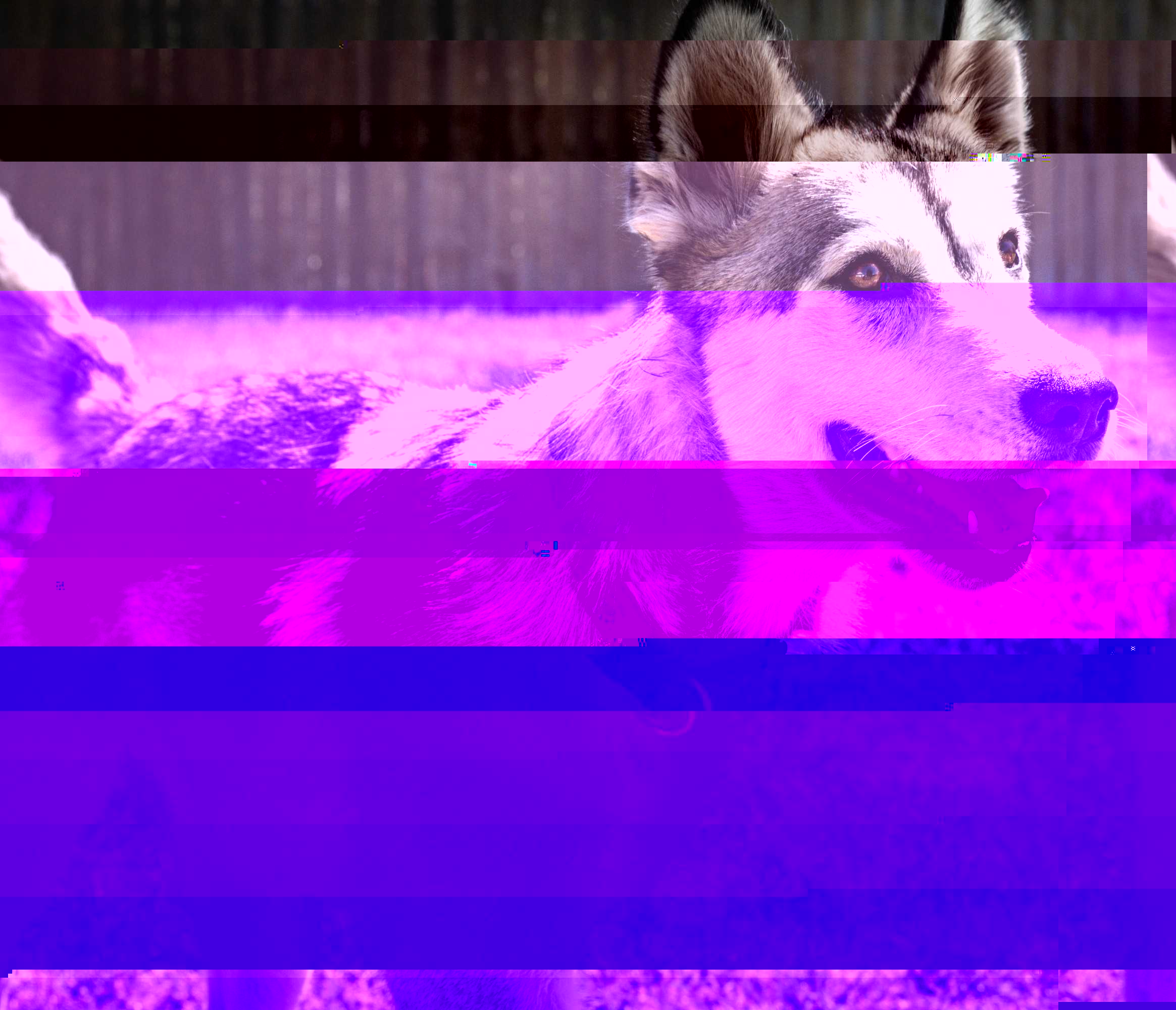 Currupted Image Corrupted Image by CorruptionGenerator on DeviantArt