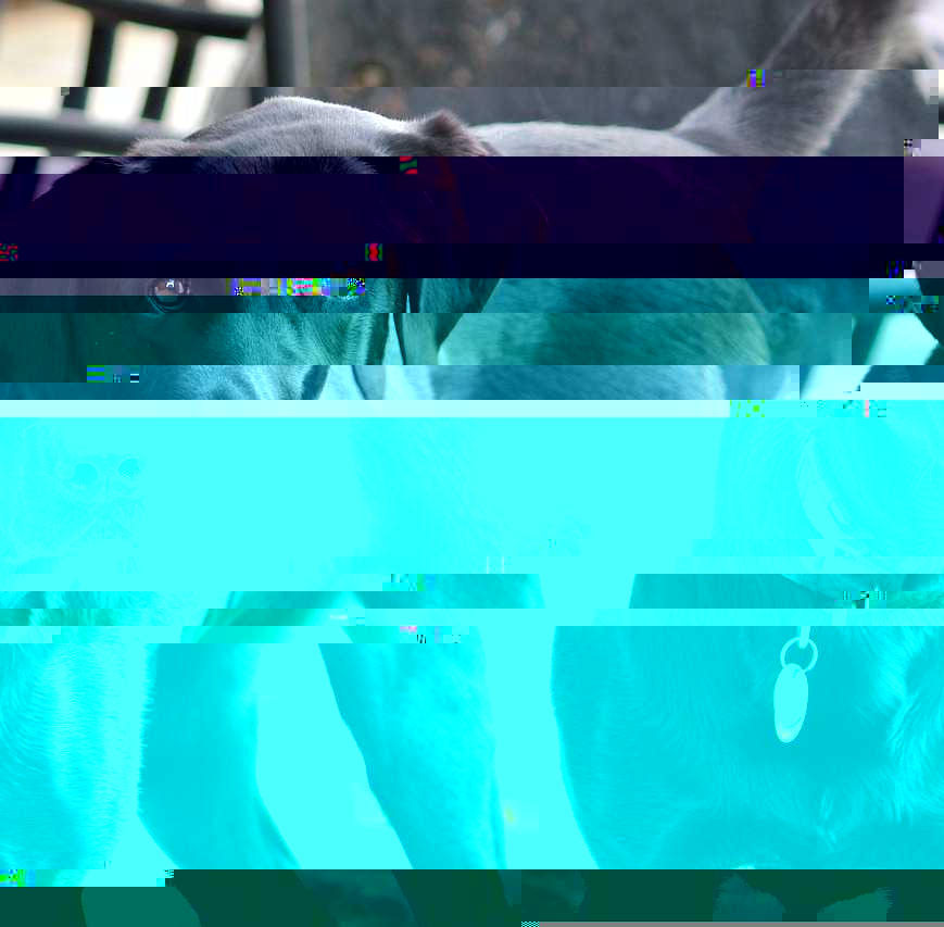 Currupted Image Corrupted Image by CorruptionGenerator on DeviantArt