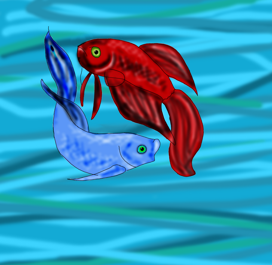 Beta fish by 0xBenficax0 on DeviantArt