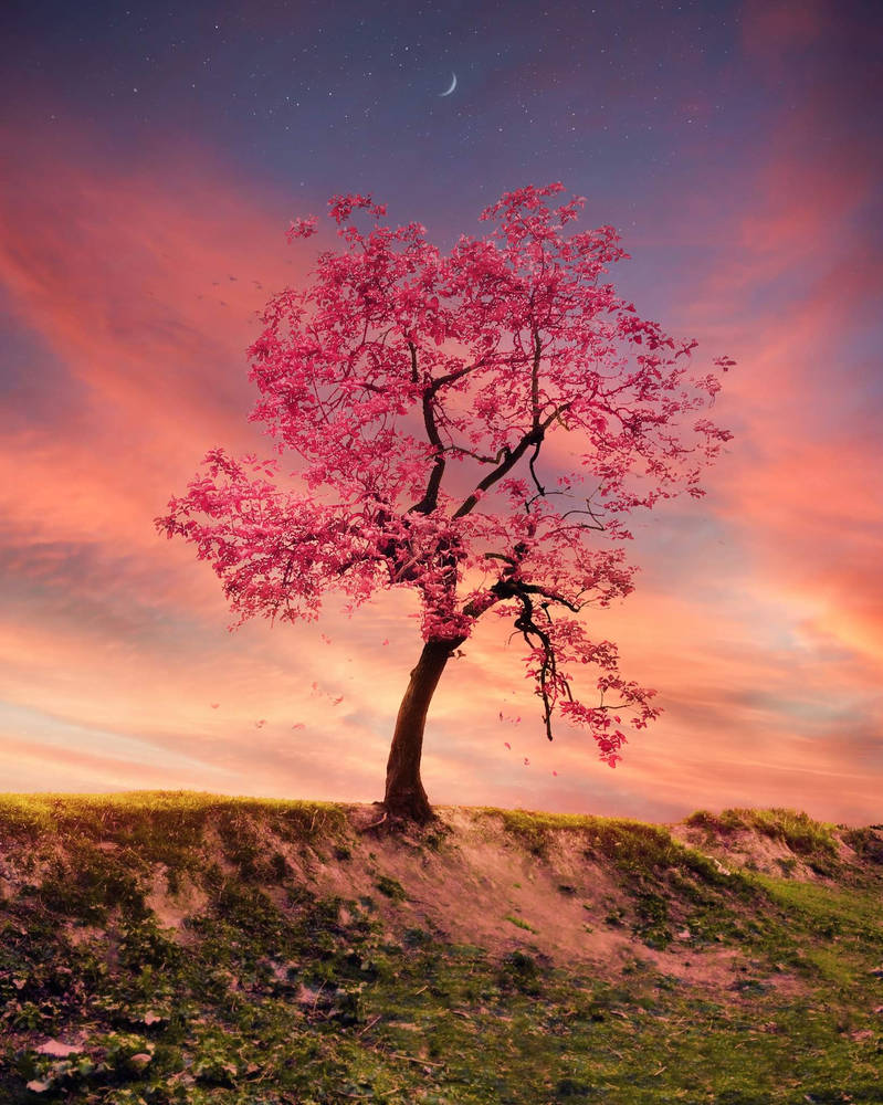 tree by banedesign1 on DeviantArt