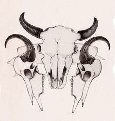 Buffalo skulls tattoo