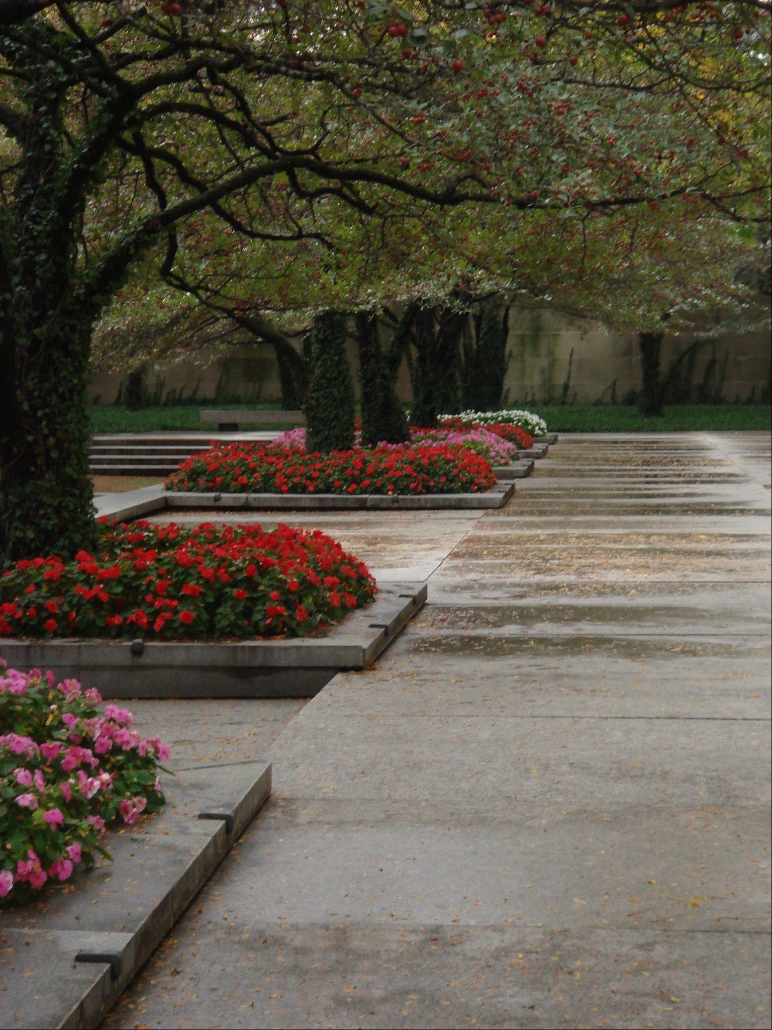 Park in Chicago