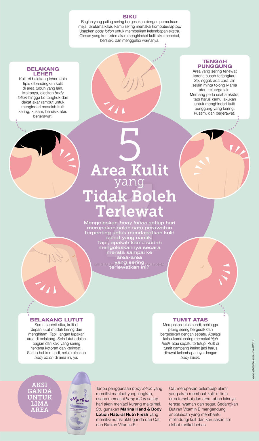 Infografis 5 Area Kulit By Iheartvector On Deviantart