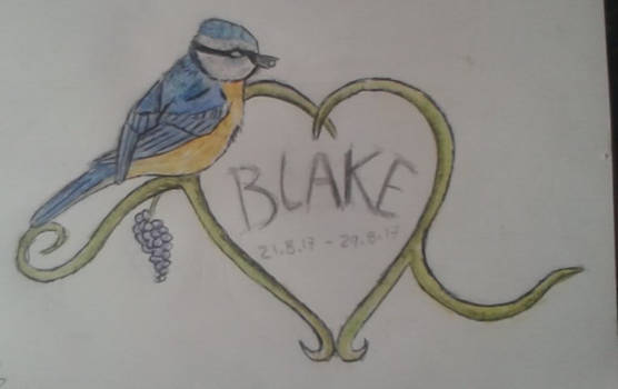 Blake Xx