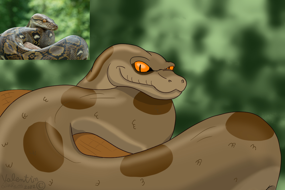 python reticulated picture ( draw art-style copy ) by valentinfrench on ...