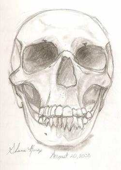 Sketchy Skull