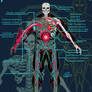 Jax's anatomy
