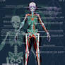Tarrer X-Ray