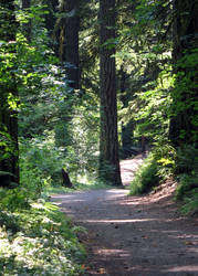 Summer Hike