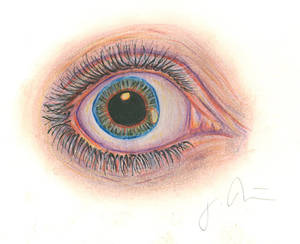 Eye Study #1