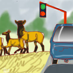 Elk at the traffic signal