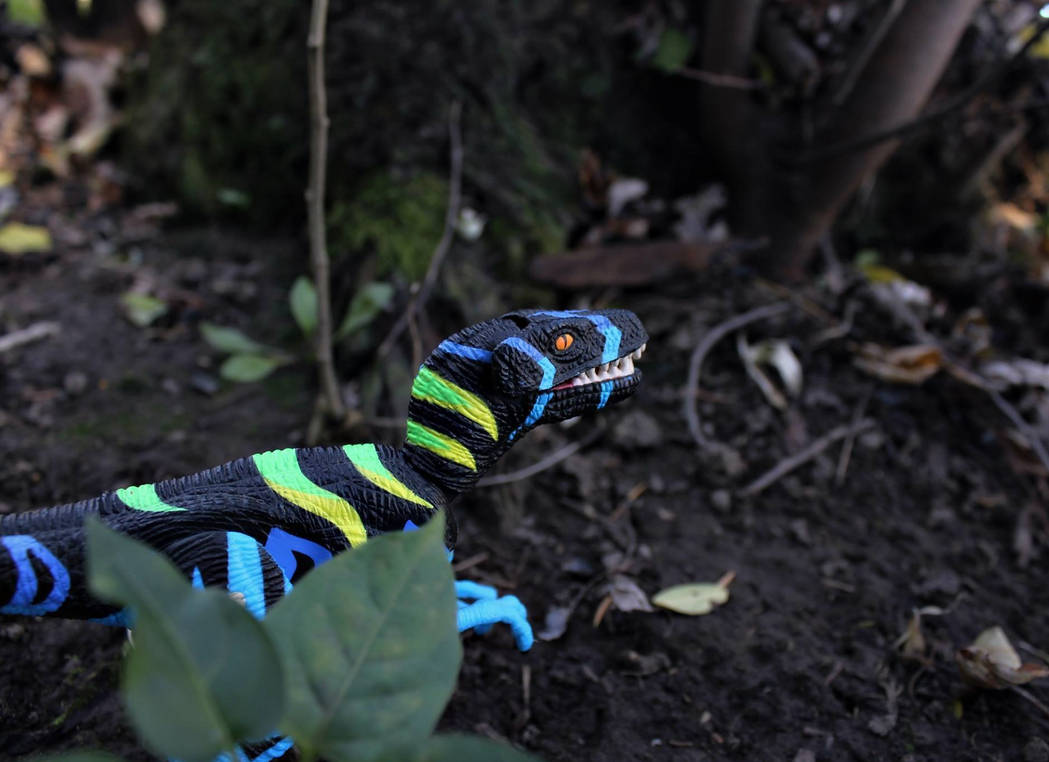 Hackling Raptor Stalking Raptor by abekowalski on DeviantArt