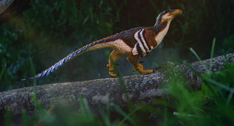 Deinonychus on a log