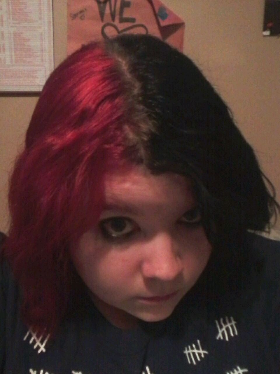 Split Dyed Hair By Insilverscript On Deviantart Split Dyed Hair By Insilverscript On Deviantart