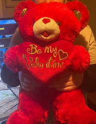 Valentines Bear 3