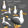 seagull model