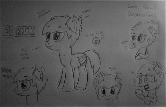 My MLP OC (final design) - REQUESTED