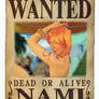 Nami Cosplay: Wanted Poster