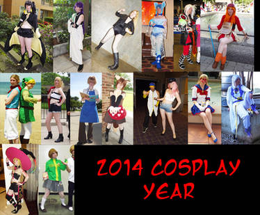 2014 Cosplay Year in Review