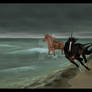 The Summer Sea