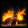 Inflame
