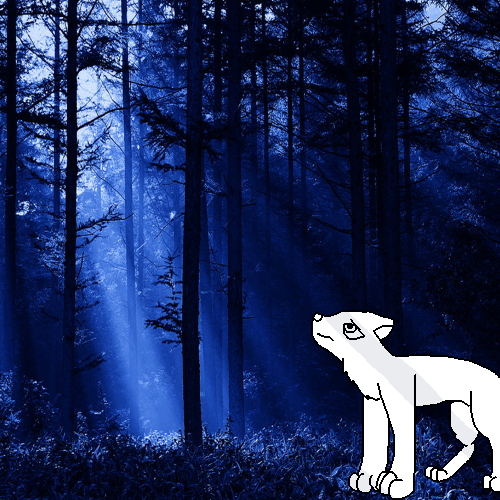 Sad Wolf In The Dark by WolfHeart1523 on DeviantArt Sad Wolf In The Dark by WolfHeart1523 on DeviantArt