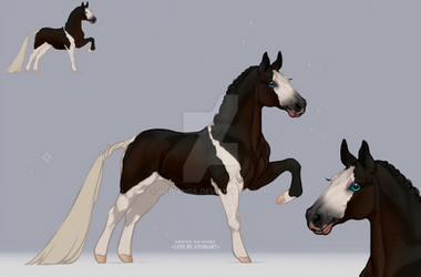 Horse ADOPT #57 [OPEN] by HeilangS
