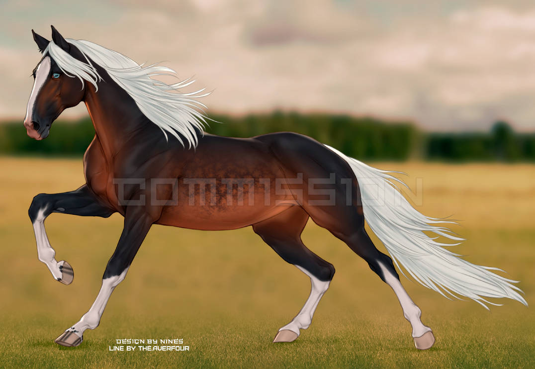 DESIGN COMMISSION by HeilangS on DeviantArt