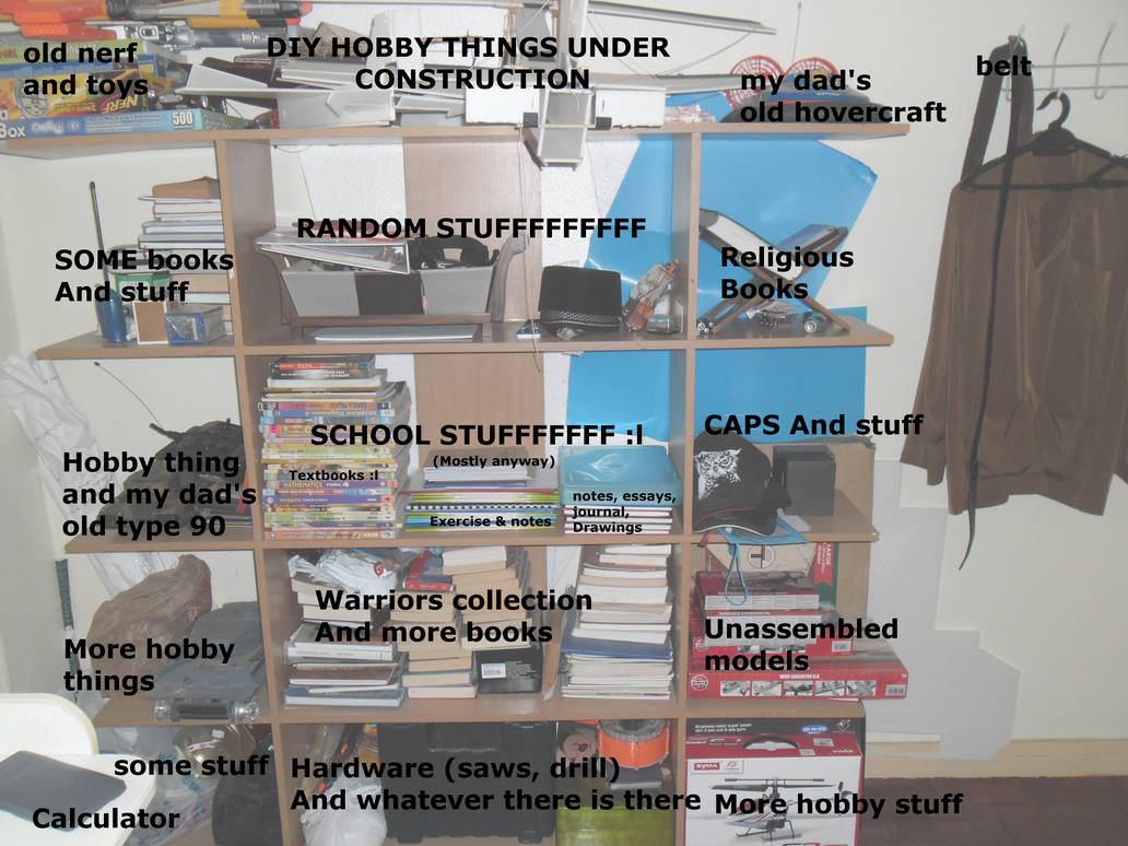Random Stowing My Shelf Of Things - Random pic by Jayfeather12331 on DeviantArt