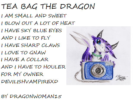 tea bag poem by dragonwoman15