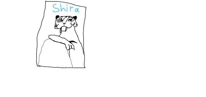 My SHIRA 2012 Art