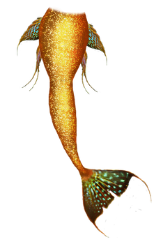 golden mermaid tail