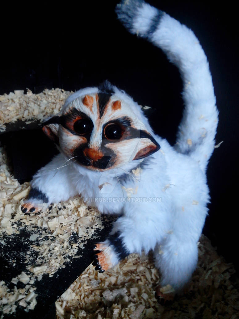 Lemur Mix Rabbit lemur-cat hybrid by uji-kun on DeviantArt