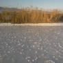 frozen lake