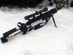 Winterized M14Ebr