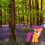 Scootaloo and rainbow dash in the flowers