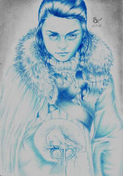 Arya Stark of Winterfell