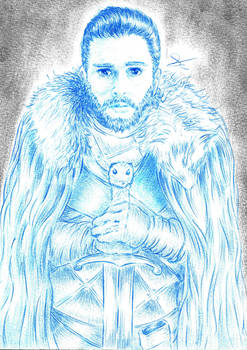 The King in The north