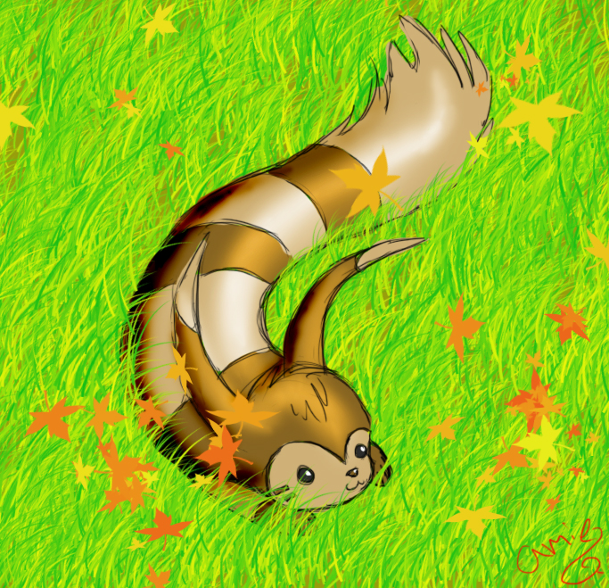 Furret Practice