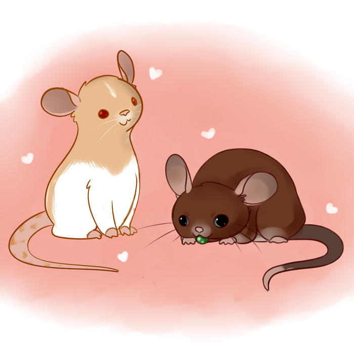 My Ratties