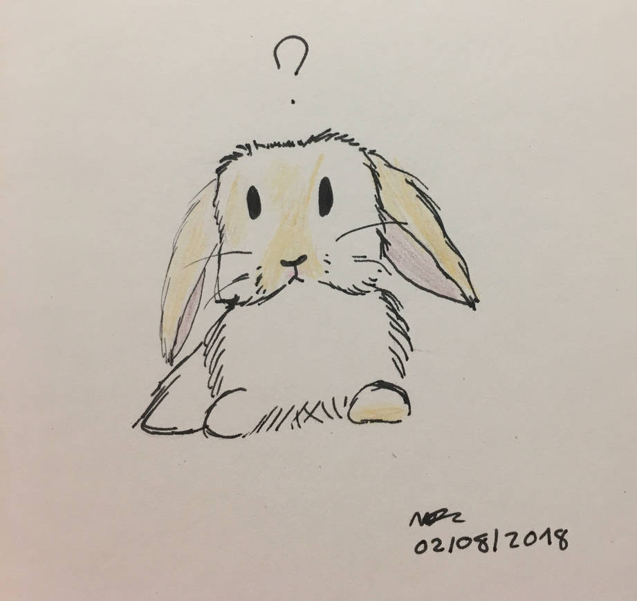 Squish Face Rabbit Squish face by lavender42 on DeviantArt